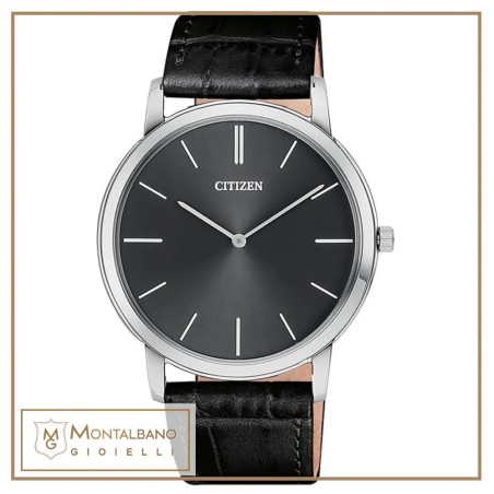 Orologio Citizen Eco Drive AR1118-35H